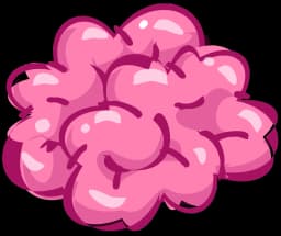 Creier Roz